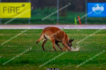 ENCI_01_0781.jpg