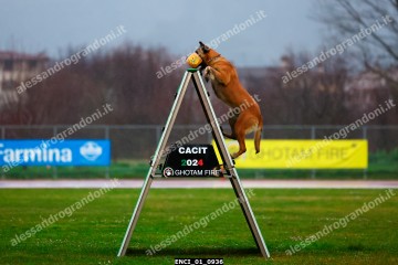 ENCI_01_0936.jpg