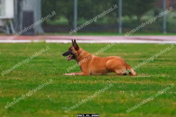 ENCI_01_0986.jpg