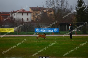 ENCI_01_1048.jpg