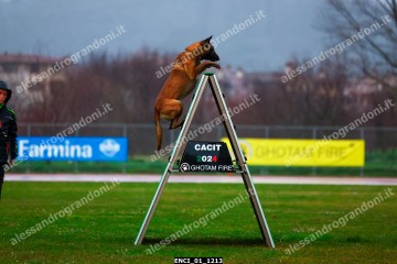 ENCI_01_1213.jpg