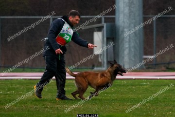ENCI_01_1273.jpg