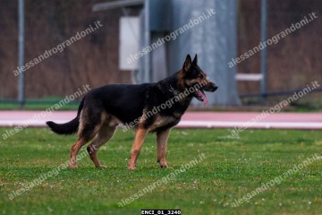 ENCI_01_3240.jpg