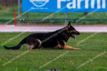 ENCI_01_3256.jpg