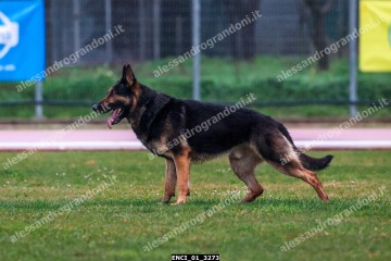 ENCI_01_3273.jpg