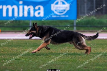 ENCI_01_3276.jpg