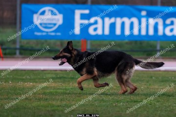 ENCI_01_3279.jpg