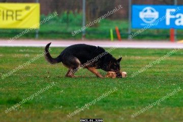 ENCI_01_3299.jpg