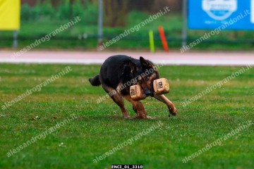 ENCI_01_3310.jpg