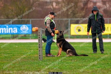 ENCI_01_3333.jpg