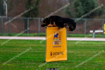 ENCI_01_3359.jpg