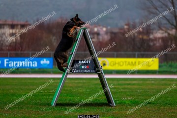 ENCI_01_3435.jpg