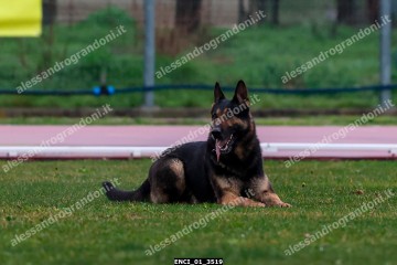 ENCI_01_3519.jpg