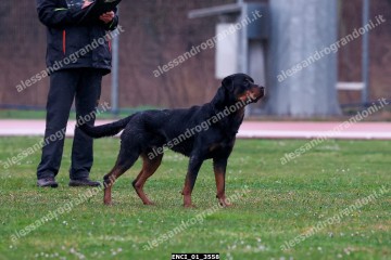 ENCI_01_3558.jpg