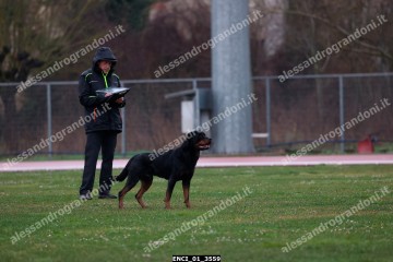 ENCI_01_3559.jpg
