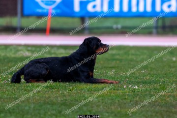 ENCI_01_3564.jpg