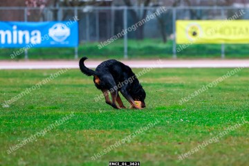 ENCI_01_3621.jpg