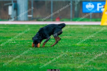 ENCI_01_3674.jpg