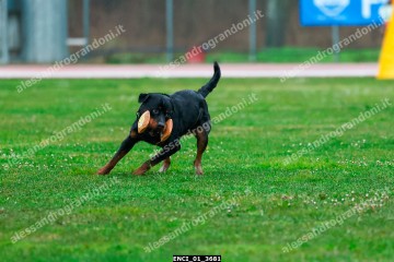 ENCI_01_3681.jpg