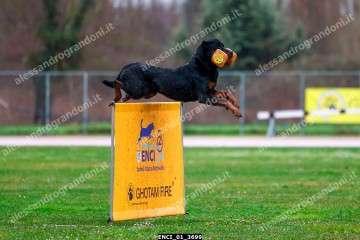 ENCI_01_3699.jpg