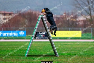 ENCI_01_3775.jpg
