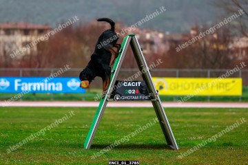 ENCI_01_3785.jpg