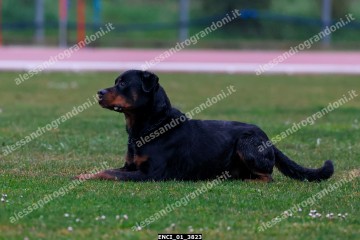 ENCI_01_3823.jpg