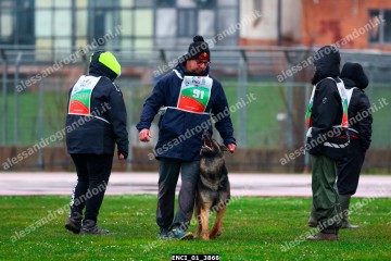 ENCI_01_3868.jpg