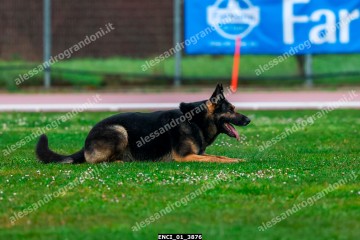 ENCI_01_3876.jpg