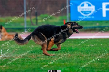 ENCI_01_3883.jpg