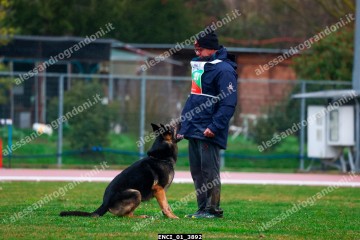 ENCI_01_3892.jpg