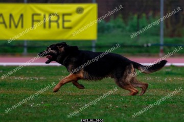 ENCI_01_3900.jpg