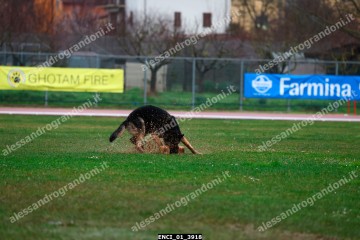ENCI_01_3918.jpg