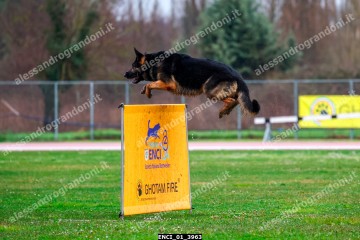 ENCI_01_3963.jpg