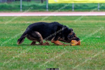 ENCI_01_4064.jpg