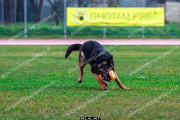 ENCI_01_4077.jpg
