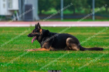 ENCI_01_4199.jpg
