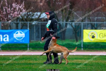 ENCI_01_4236.jpg