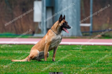 ENCI_01_4268.jpg