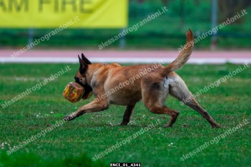 ENCI_01_4341.jpg