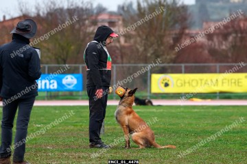 ENCI_01_4478.jpg