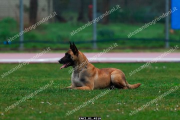 ENCI_01_4519.jpg