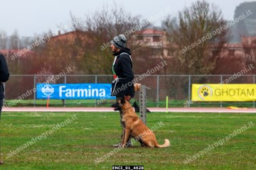 ENCI_01_4628.jpg