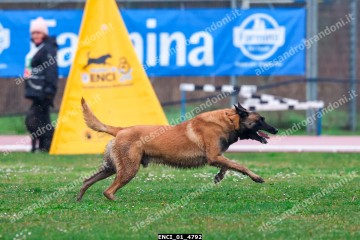 ENCI_01_4792.jpg