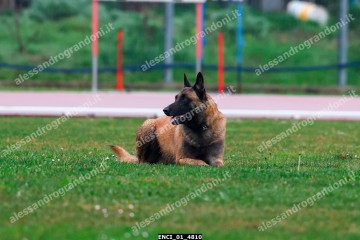 ENCI_01_4810.jpg