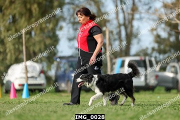 IMG_0028.jpg