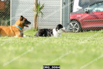 IMG_0064.jpg