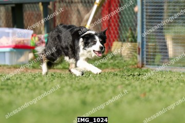 IMG_1024.jpg