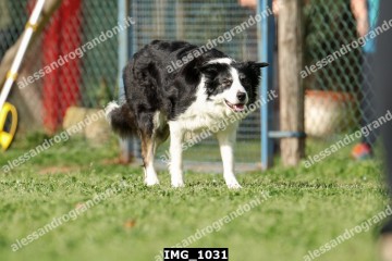 IMG_1031.jpg
