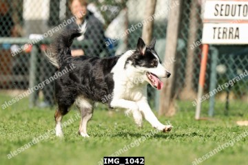 IMG_1042.jpg